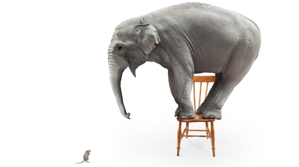 elephant-and-mouse_web_750x420